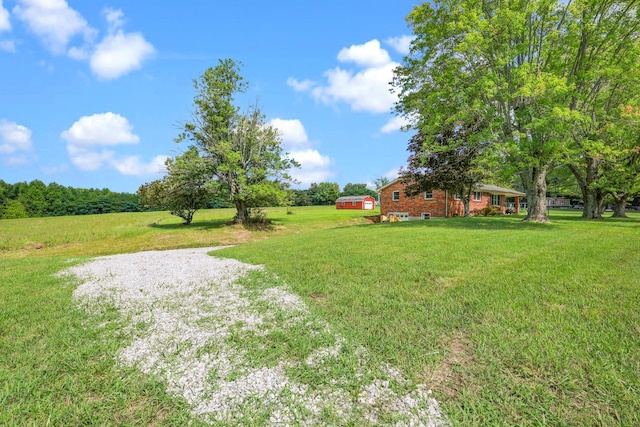 view of yard featuring driveway