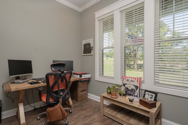 office space featuring wood-type flooring and crown molding