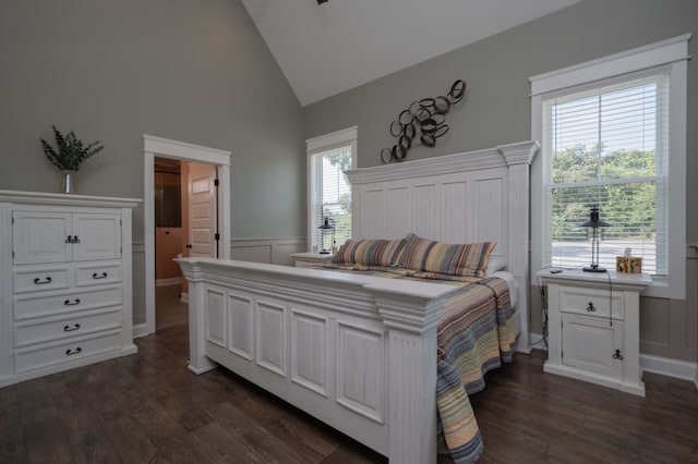 bedroom featuring dark hardwood / wood-style flooring, ensuite bathroom, and high vaulted ceiling