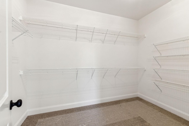 walk in closet featuring carpet flooring