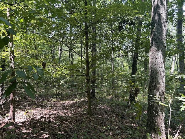 3407 Banks Rd, Chattanooga TN, 37421 land for sale