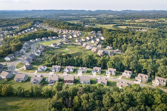 aerial view