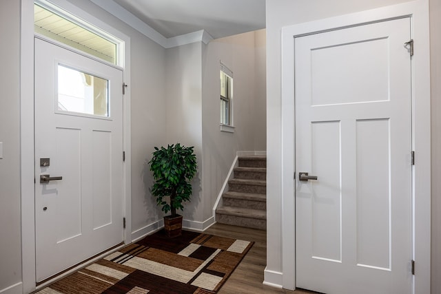 foyer entrance featuring dark hardwood / wood-style flooring