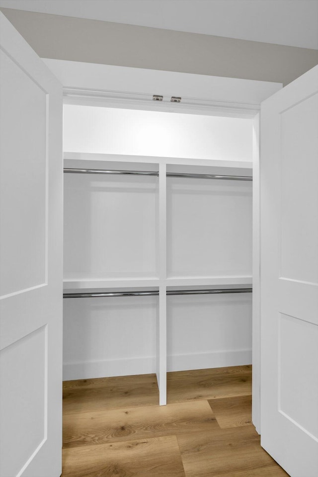 view of closet