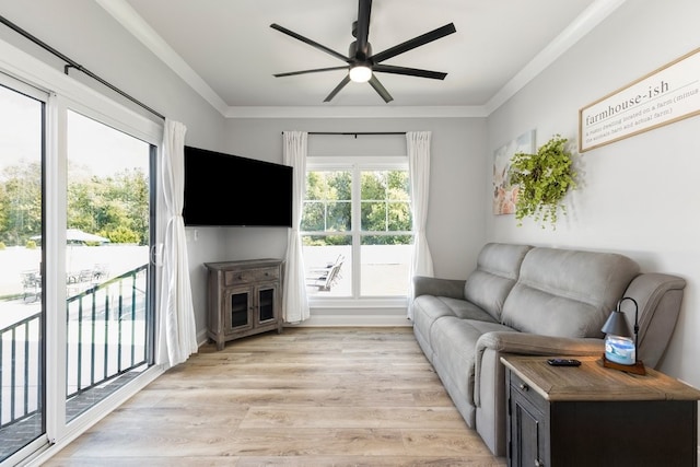 living room featuring ceiling fan, ornamental molding, and light hardwood / wood-style floors