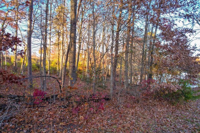0 Deer Creek Dr, Crossville, TN 38571 - photo 4