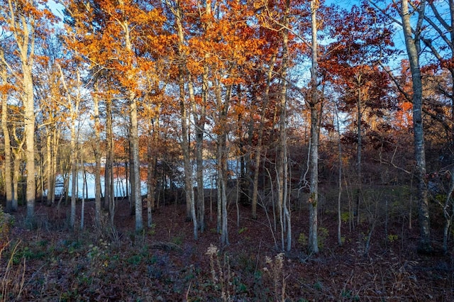 0 Deer Creek Dr, Crossville, TN 38571 - photo 3