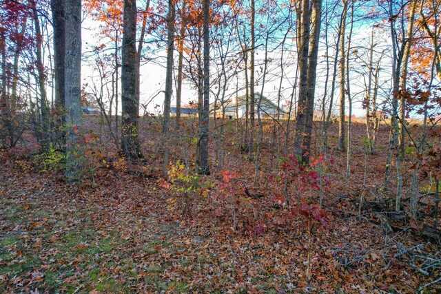0 Deer Creek Dr, Crossville, TN 38571 - photo 5