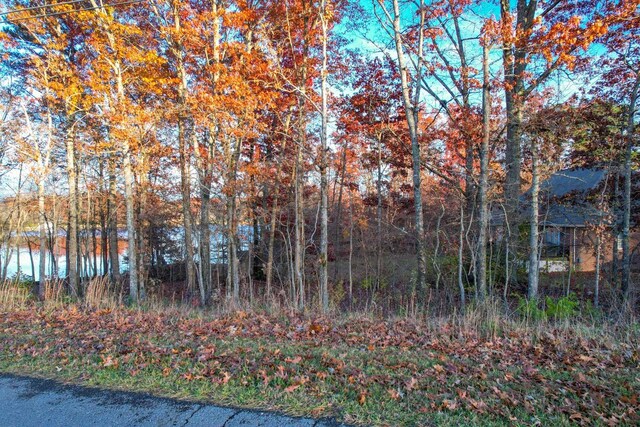 0 Deer Creek Dr, Crossville, TN 38571 - photo 6