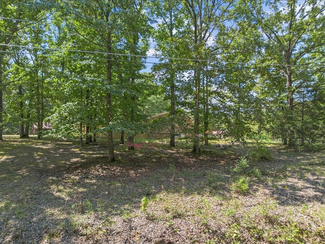 Listing photo 3 for 0 Washington Cir, Waverly TN 37185