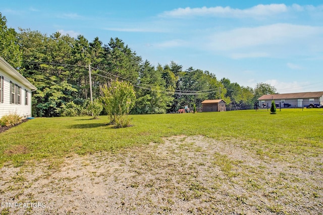 view of yard with a storage unit