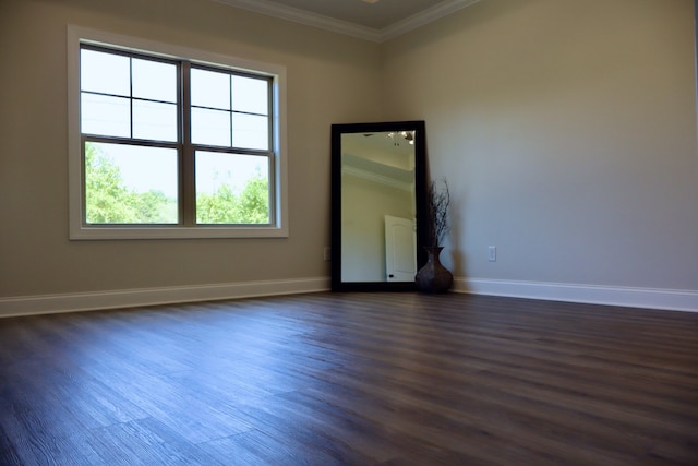 empty room featuring dark hardwood / wood-style flooring and a healthy amount of sunlight