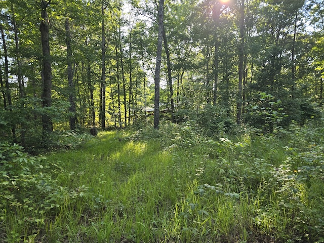 view of landscape