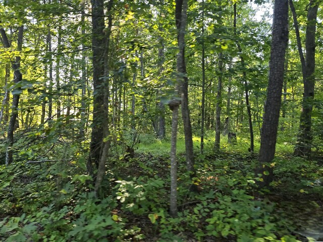 2185 Northcutts Cove Rd, Beersheba Springs, TN 37305 - photo 23