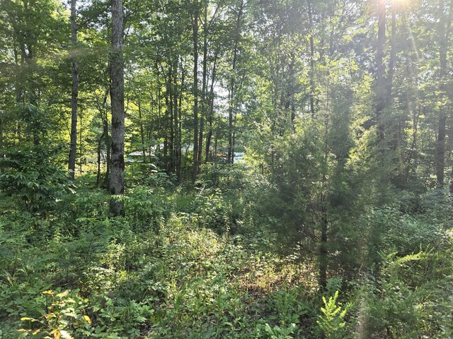 2185 Northcutts Cove Rd, Beersheba Springs, TN 37305 - photo 20
