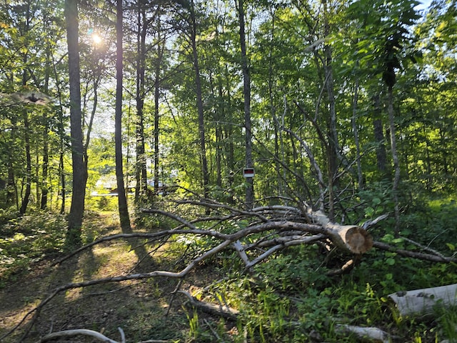 view of nature