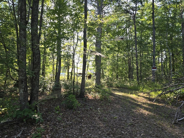 view of local wilderness