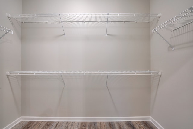 walk in closet with hardwood / wood-style flooring