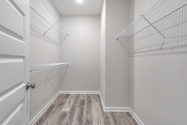 walk in closet featuring hardwood / wood-style floors