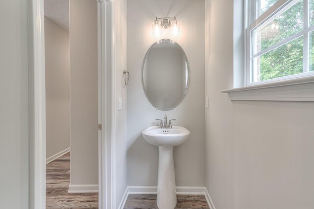 bathroom with hardwood / wood-style floors