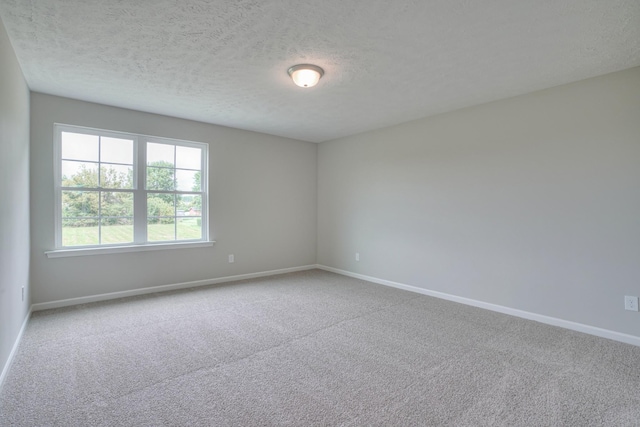 spare room with carpet flooring and a textured ceiling