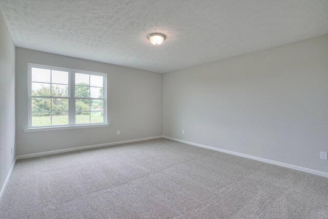 spare room with carpet floors and a textured ceiling