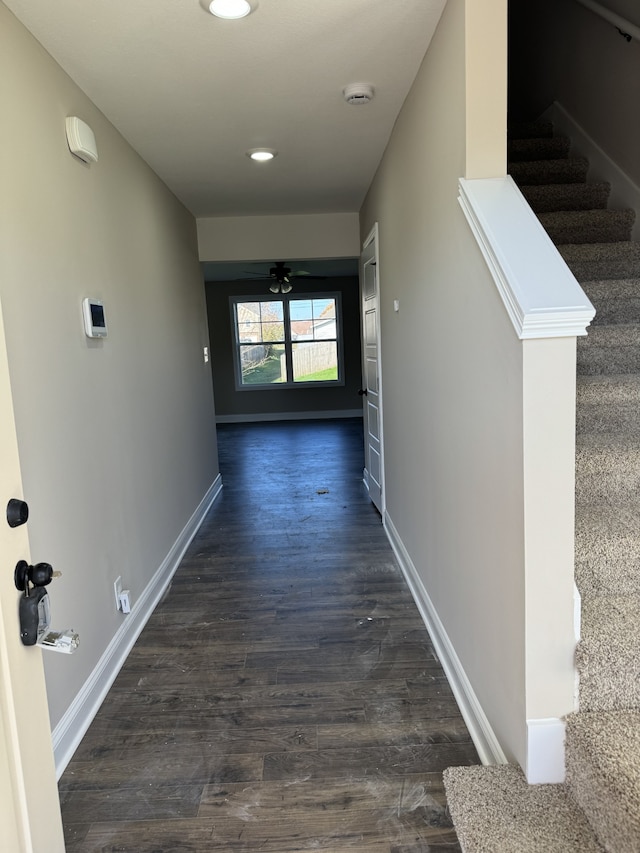 hallway with dark wood-type flooring