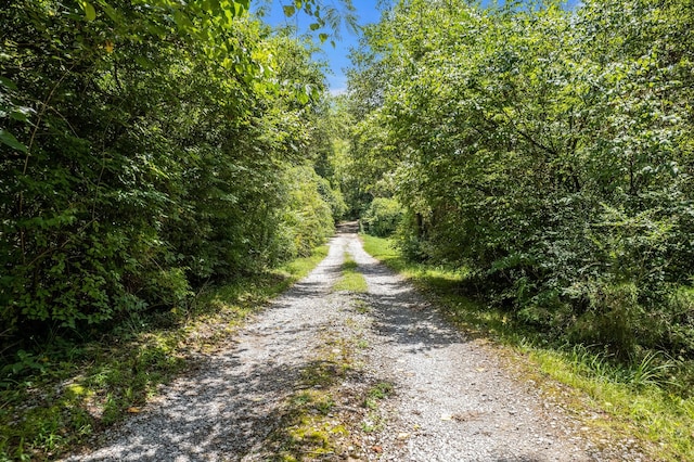 view of road