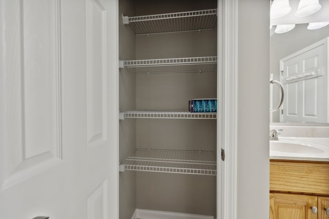 closet with sink