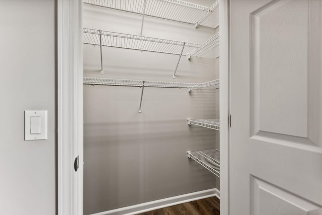 spacious closet with dark wood-type flooring