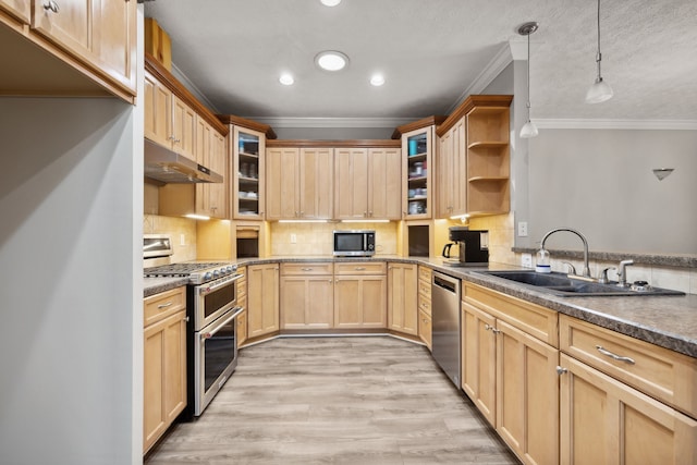 kitchen with light wood-type flooring, stainless steel appliances, decorative backsplash, decorative light fixtures, and sink