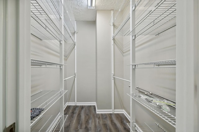 walk in closet with dark wood-type flooring