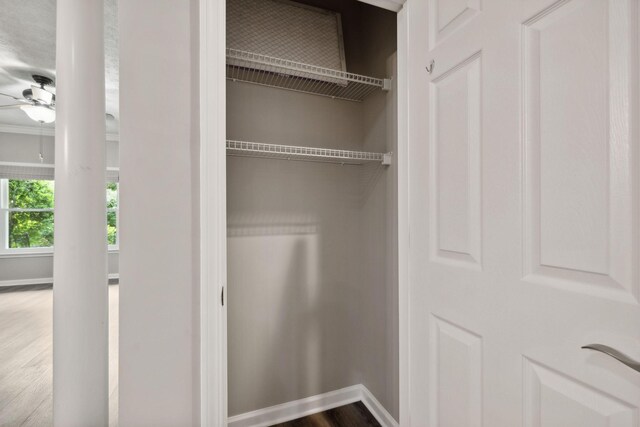 view of closet