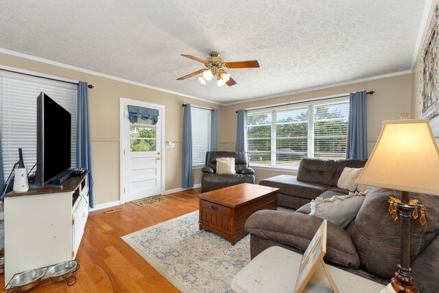 living room with ceiling fan, light wood-type flooring, a textured ceiling, and ornamental molding