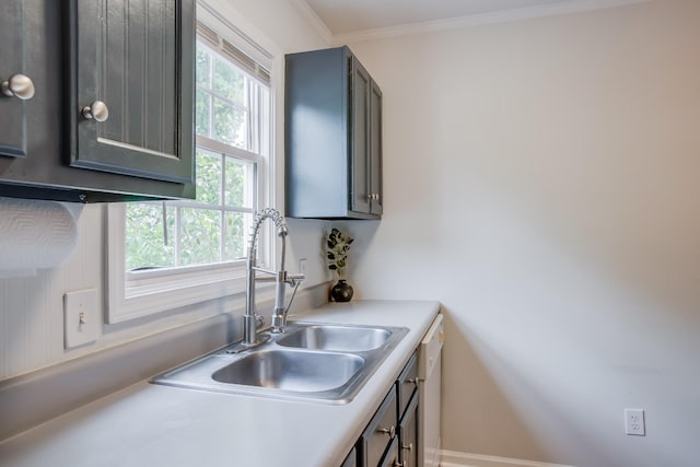 kitchen featuring white dishwasher, sink, and crown molding