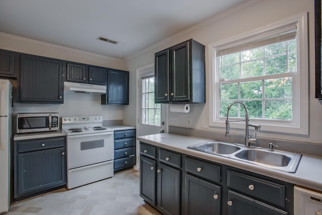 kitchen with crown molding, sink, and white appliances