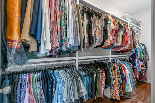 spacious closet with hardwood / wood-style flooring