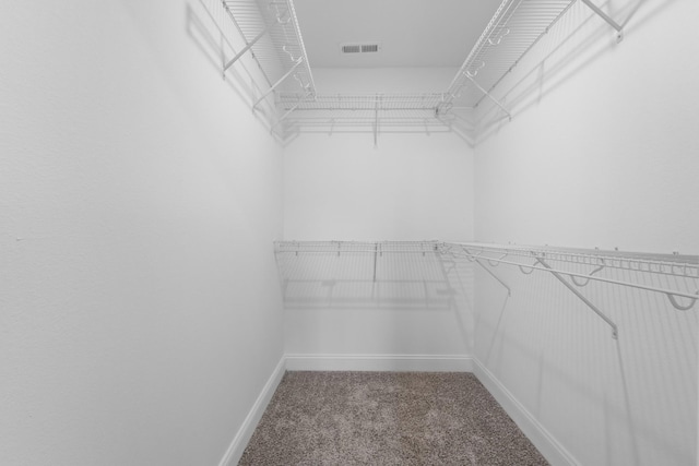 spacious closet featuring carpet flooring