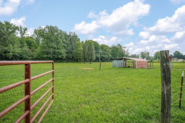 view of yard featuring an outdoor structure