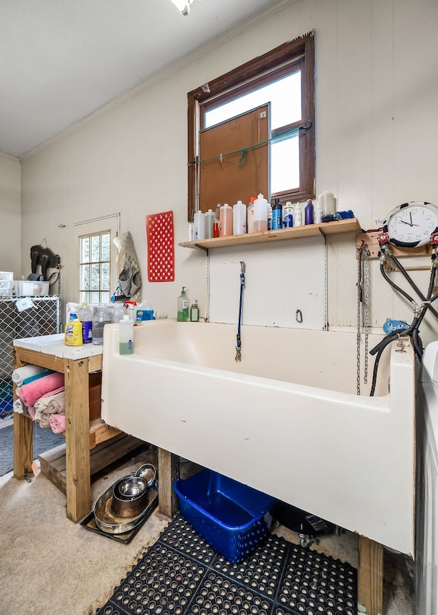 bathroom featuring crown molding