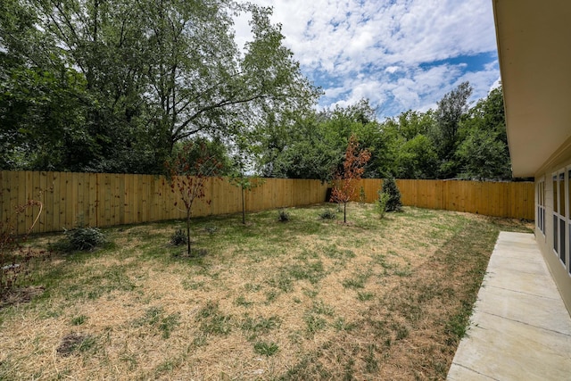 view of yard featuring a fenced backyard