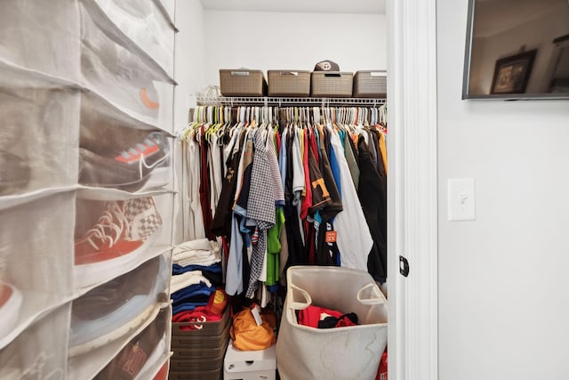 view of spacious closet