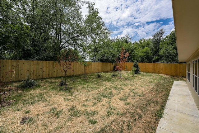 view of yard with a fenced backyard