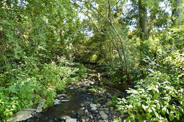 view of local wilderness featuring a water view