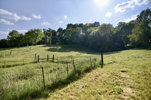 view of yard featuring a rural view