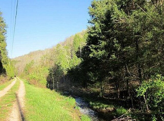 view of local wilderness