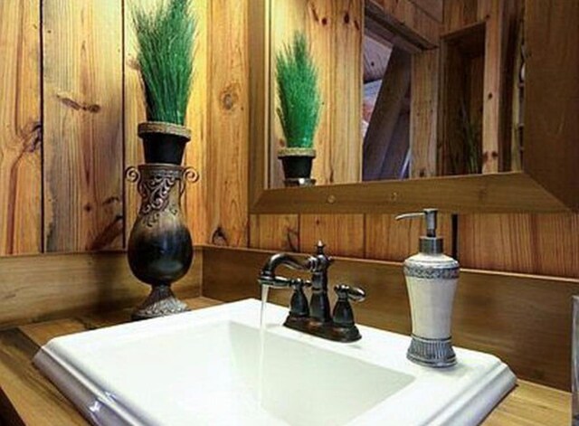 room details featuring wood walls and sink