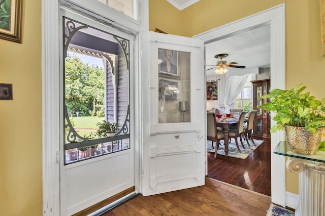 entryway featuring ceiling fan, crown molding, and dark wood-type flooring