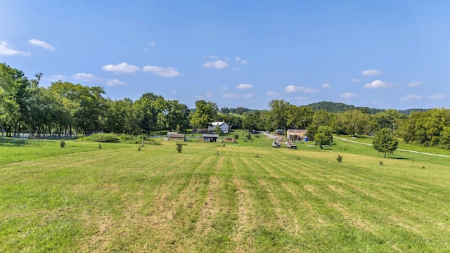 view of yard with a rural view