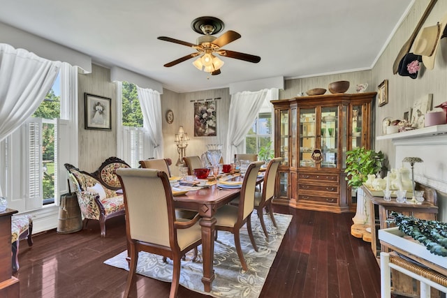 dining room featuring dark hardwood / wood-style flooring and ceiling fan